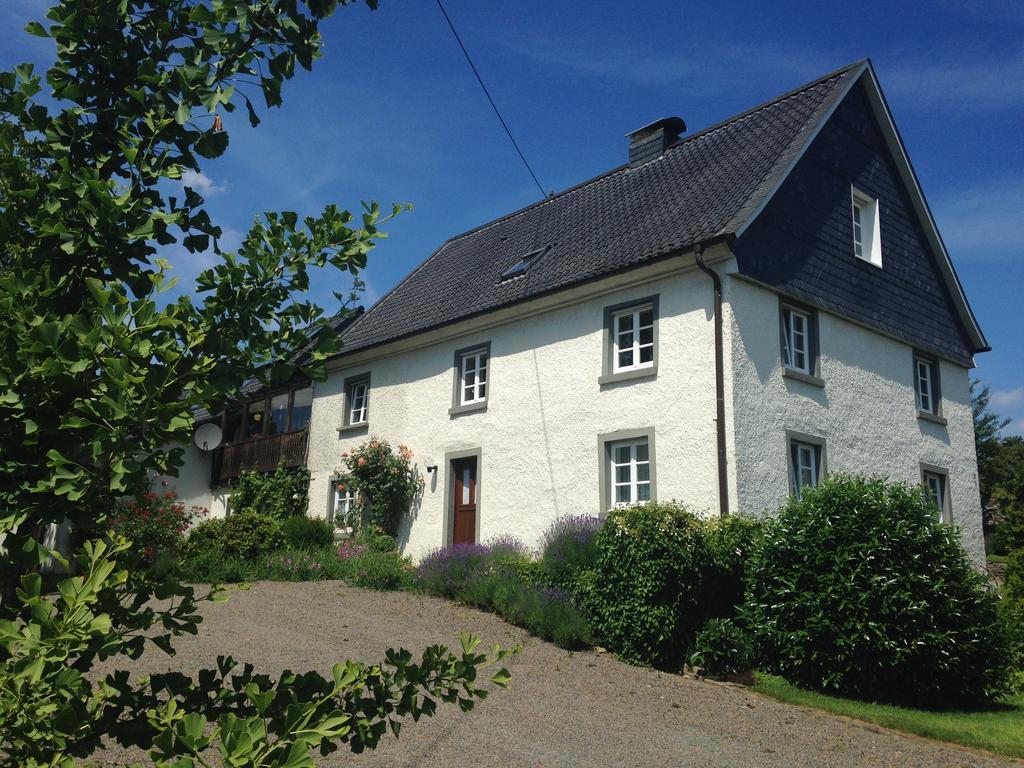 Historical Apartment Gummersbach Pokój zdjęcie